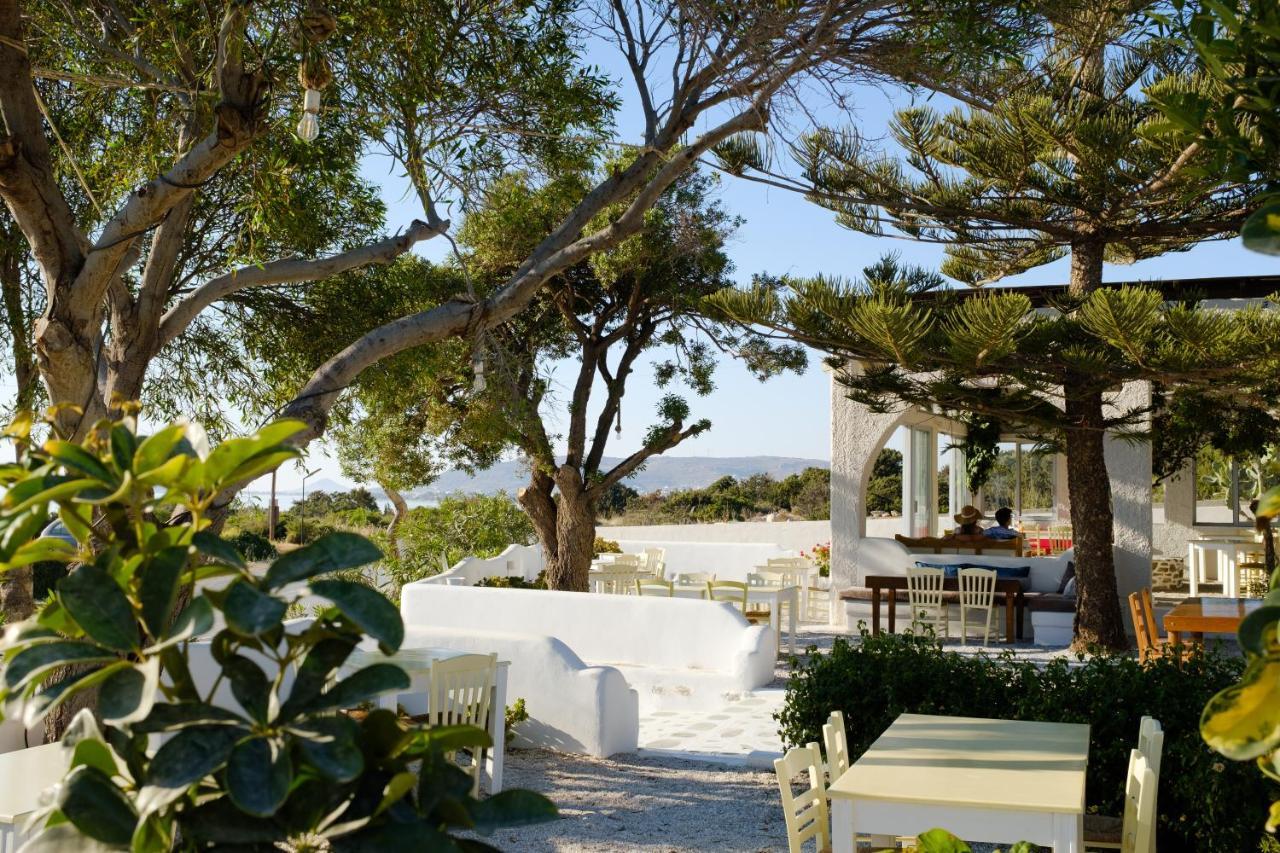 Villa Faros Aliko Beach Exterior foto