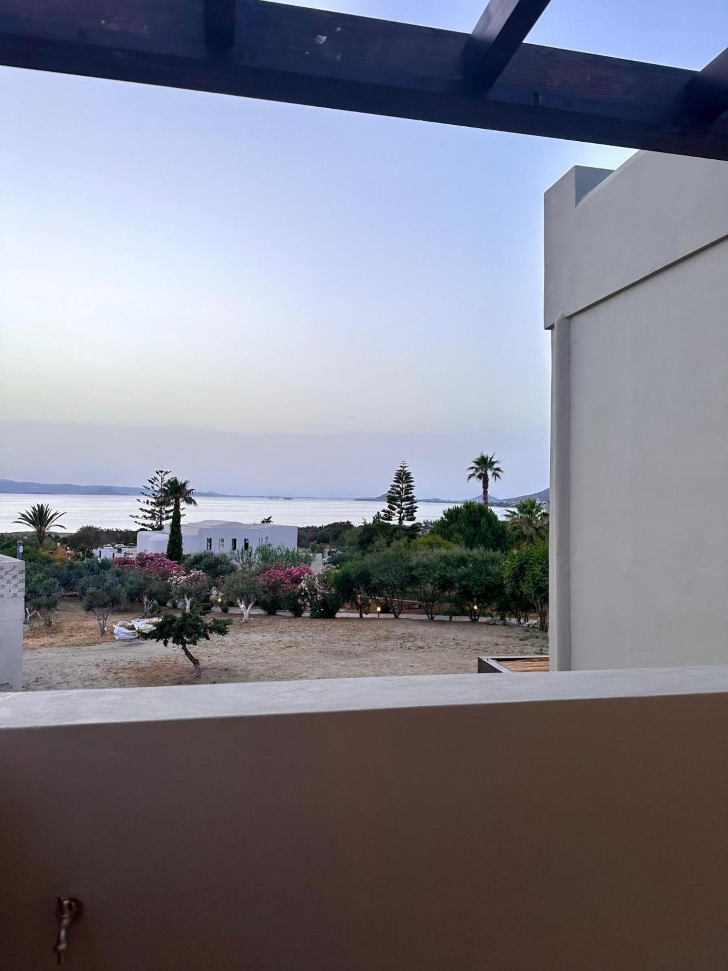 Villa Faros Aliko Beach Exterior foto
