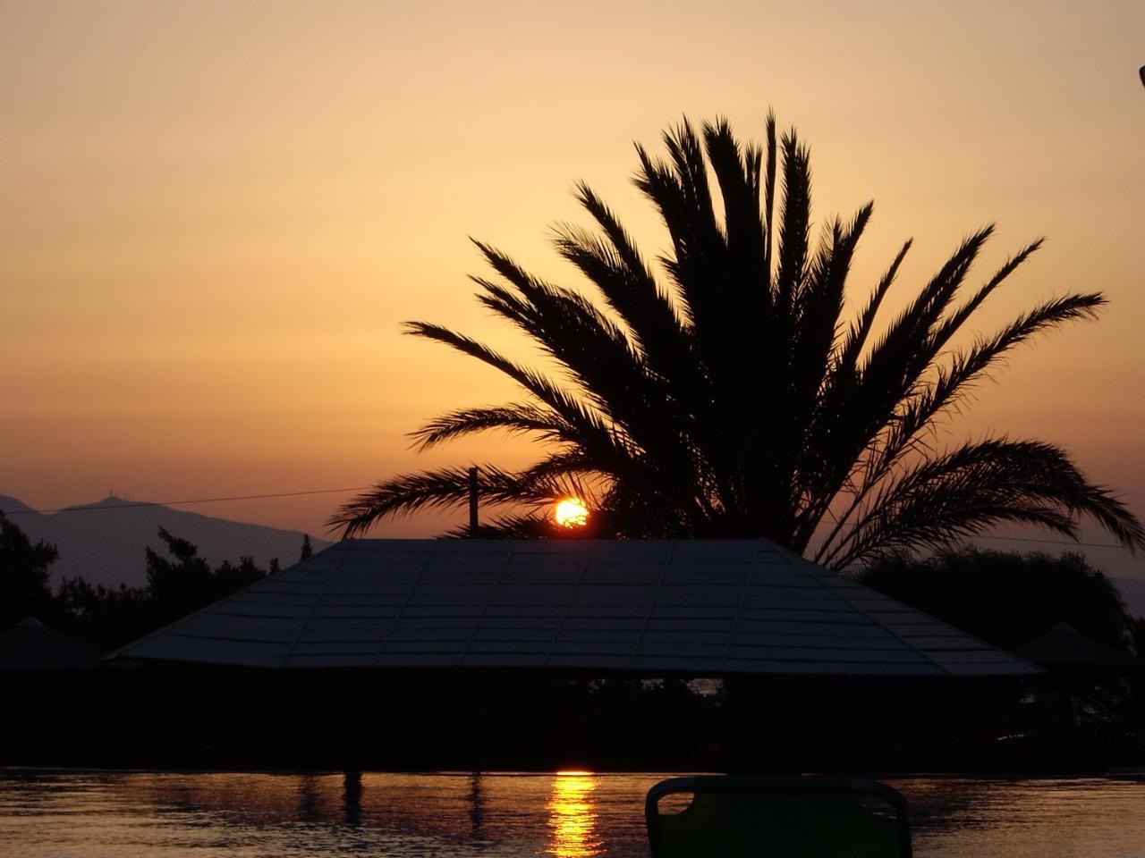 Villa Faros Aliko Beach Exterior foto