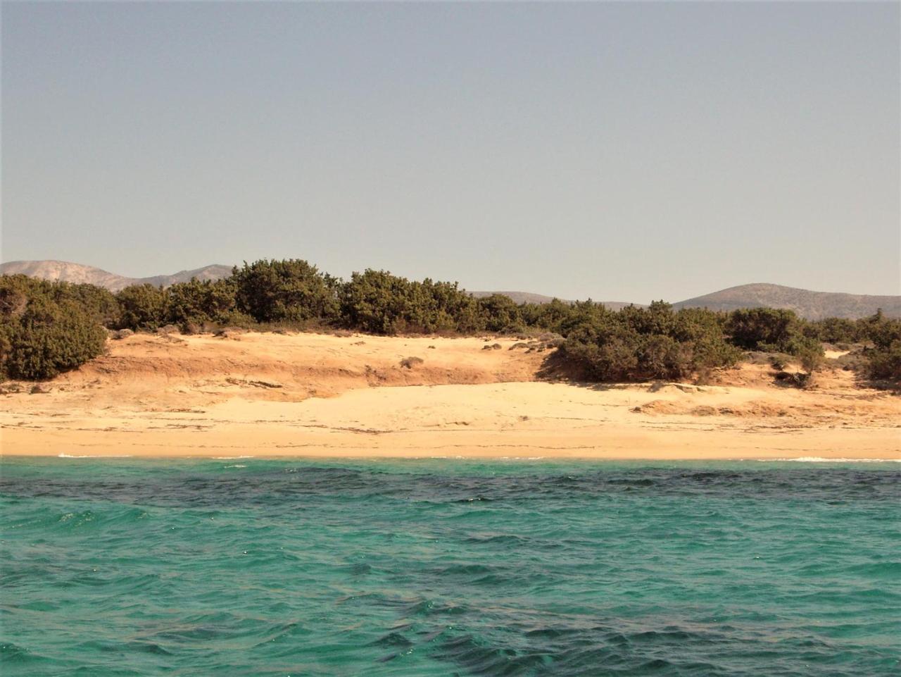 Villa Faros Aliko Beach Exterior foto